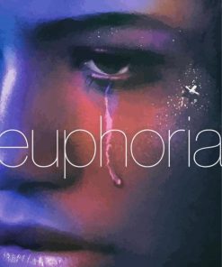 Euphoria Poster Paint By Number