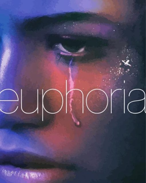 Euphoria Poster Paint By Number