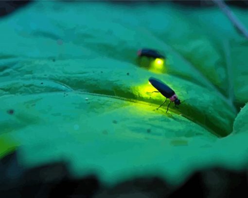 Firefly Paint By Number