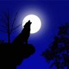 Full Moon With Howling Wolf Paint By Number