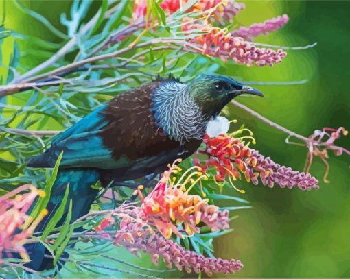 Honeyeater Tui Bird Paint By Number