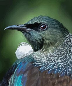 Honeyeater Tui Head Paint By Number