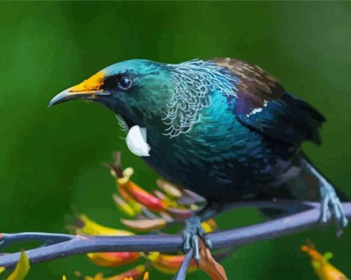 Honeyeater Tui On Branch Paint By Number