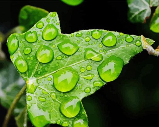 Aesthetic Ivy Leaf With Water Drops Paint By Number