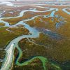 Lowcountry Marsh Aerial Paint By Number