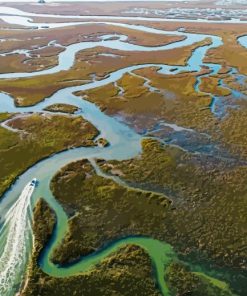 Lowcountry Marsh Aerial Paint By Number