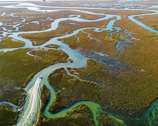 Lowcountry Marsh Aerial Paint By Number