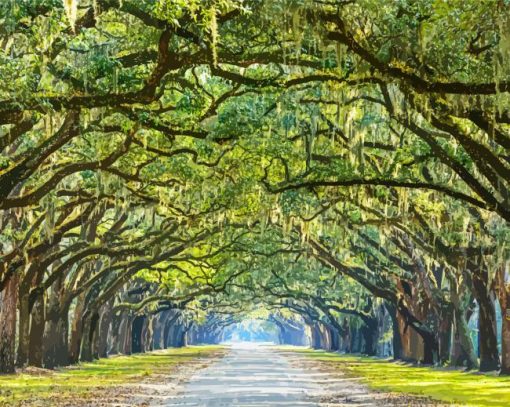 Lowcountry Trees Paint By Number