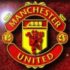 Manchester United Logo Paint By Number