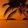 Palm Trees Christmas Art Sunset Paint By Number