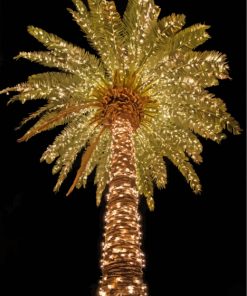 Palm Trees Christmas At Night Paint By Number