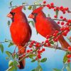 Red Cardinals And Berries Paint By Number