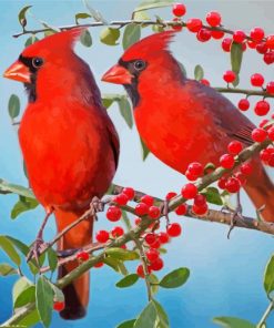 Red Cardinals And Berries Paint By Number