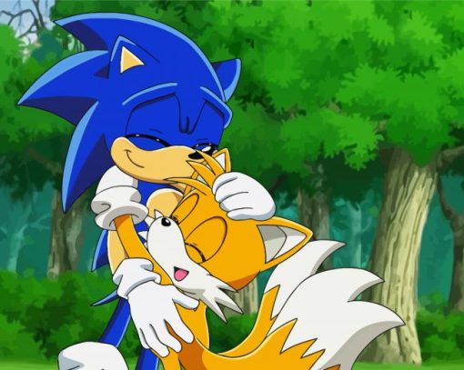 Sonic And Tails Paint By Number