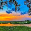 Southcarolina Lowcountry Paint By Number