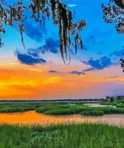 Southcarolina Lowcountry Paint By Number