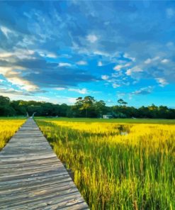 Southcarolina Lowcountry Walk Road Paint By Number