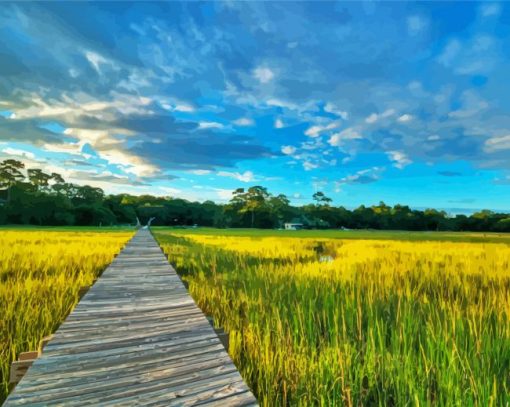 Southcarolina Lowcountry Walk Road Paint By Number