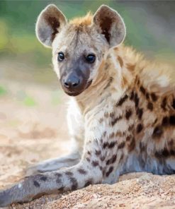 Spotted Hyena Animal Paint By Number