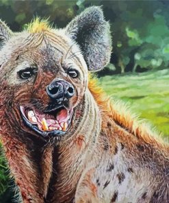 Spotted Hyena Wild Animal Paint By Number