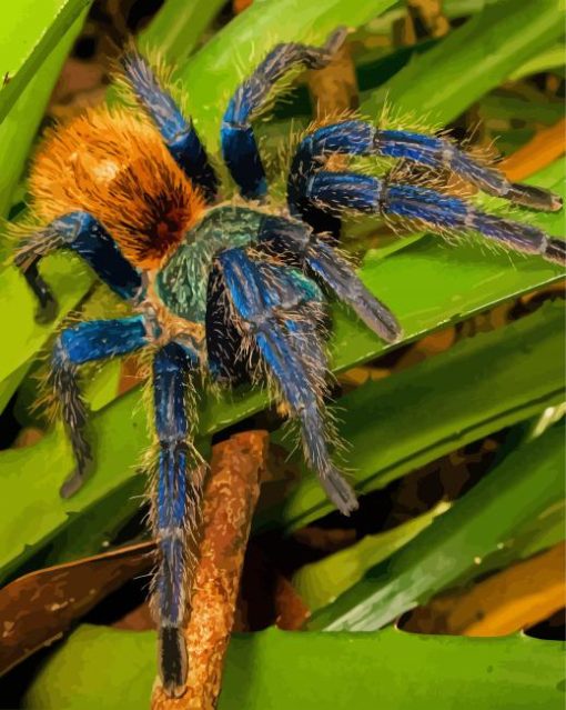 Tarantula On Leaves Paint By Number