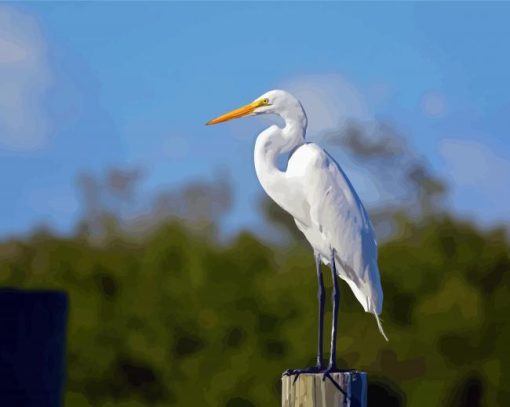 White Herron Bird Paint By Number