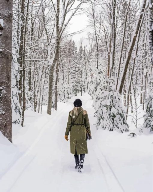 Woman Walking In Snow Paint By Number