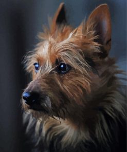 Adorable Australian Terrier Paint By Number