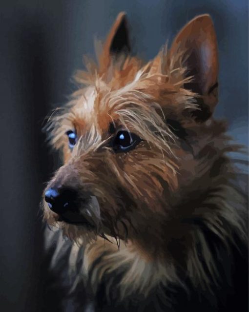 Adorable Australian Terrier Paint By Number