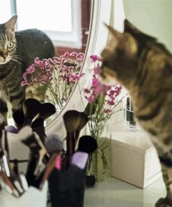 Adorable Cat Reflection On Mirror Paint By Number