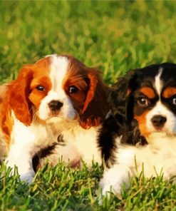 Adorable Spaniel Dogs Paint By Number