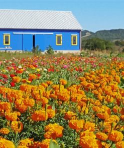 Aesthetic Farm Flowers Paint By Number