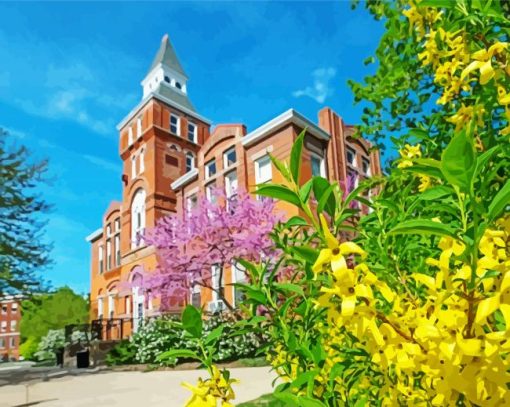 Michigan State University Paint By Number