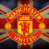 Artistic Manchester United Logo Paint By Number