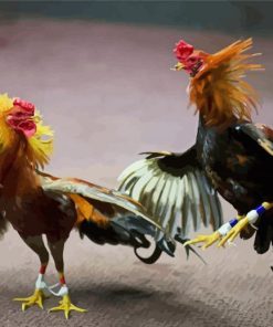 Artistic Rooster Fight Paint By Number