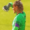 Ashlyn Harris Paint By Number