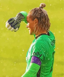 Ashlyn Harris Paint By Number