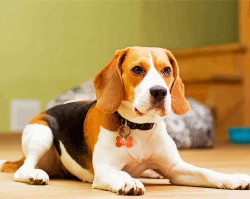 Beagle Dog - aint By Number