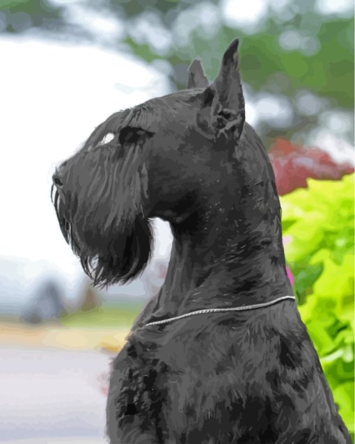 Black Giant Schnauzer Paint By Number