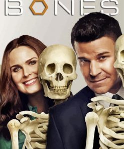 Booth And Brennan Bones Drama Serie Paint By Number