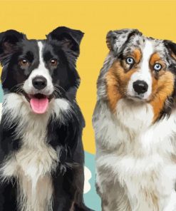 Border Collies Dogs Paint By Number