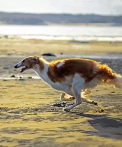 Borzoi Dog Paint By Number