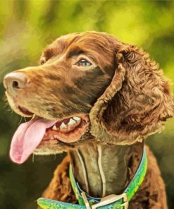 Boykin Spaniel Puppy Paint By Number