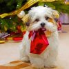 Christmas Schnauzer Puppy Paint By Number