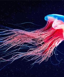 Colorful Jelly Fish Paint By Numbe