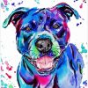 Colorful Staffy Dog Paint By Number