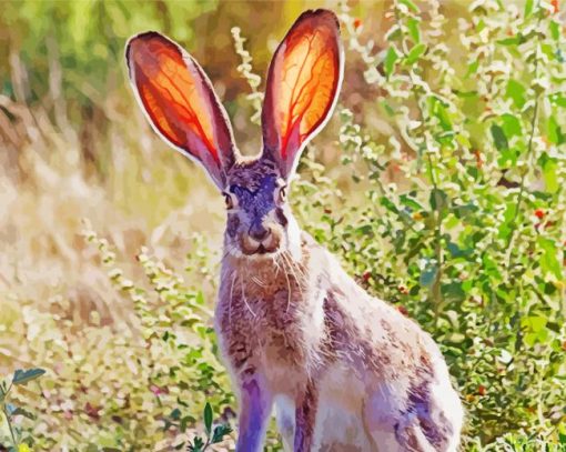 Adorable Big Eared Bunny Paint By Number