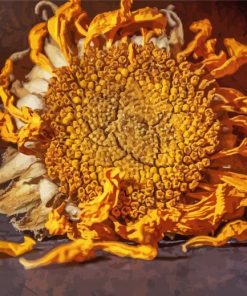 Decaying Sunflower Paint By Number