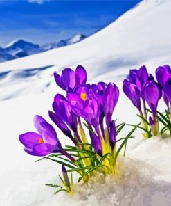 Flowers In Snow Paint By Number