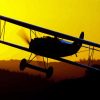 Fokker Silhouette Paint By Number